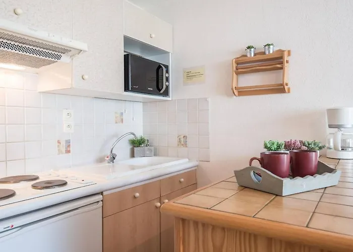 6 Pers Avec Balcon - Calme, Proche Centre Saint-lary Village, Parking Prive - Fr-1-296-162 Daire Saint-Lary-Soulan